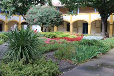 Fotografia recente do Jardim em Arle